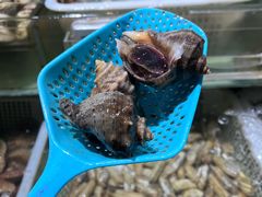 -盒马鲜生(新都心店)