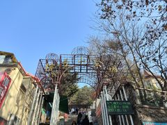 -信号山公园