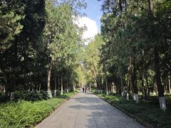 -灵谷景区