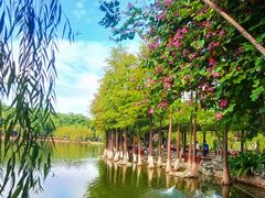 -东莞市可园博物馆