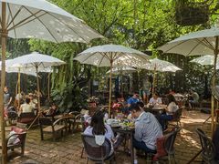 -Fern Forest Cafe