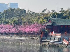 -望江楼公园