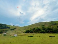 -大姆山草场