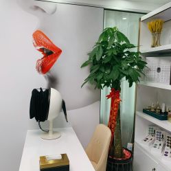 -蔓之研DNA定向护肤