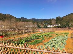 -井冈山风景名胜区