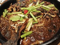 -老板恋上鱼(恒隆广场店)