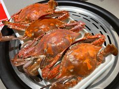 -大锅强·蒸海鲜青岛菜(城市阳台店)
