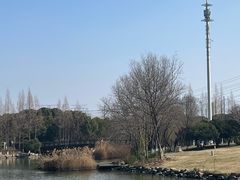 -九里河湿地公园