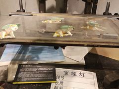 -上海动漫博物馆