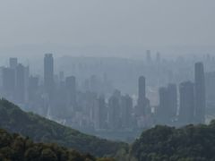 -大金鹰园