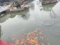 -武汉紫薇都市田园