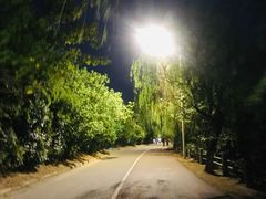 -艾溪湖湿地公园