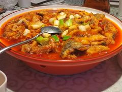 -巴特餐饮6加1音乐餐吧·新疆菜