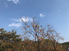 -红嫂家乡旅游区