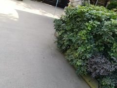 -月圆霖特色农家乐