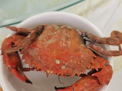 -兴旺渔家