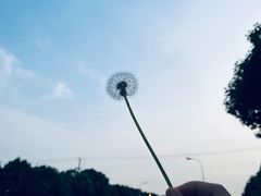 -翠山·映月湖景餐厅(映月湖公园店)