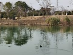 -南湖湿地公园