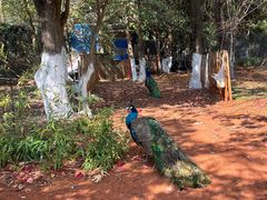 -云南民族大观园