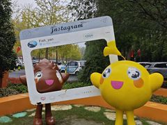 -黄海国家森林公园