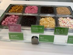 -Salud撒露欧洲冻酸奶(蓝色港湾店)