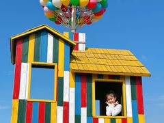 -杭州湾海上花田景区