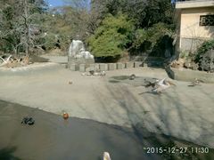 -昆明动物园