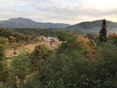 -塔川景区