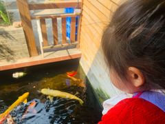 -侠成水上农庄(工业大道店)