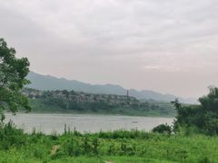 -金海湾滨江公园