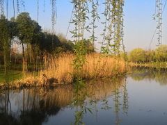 -尚贤河湿地