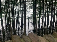 -丽市酒店(苏州平江观前街店)