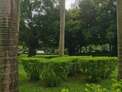-荔香公园