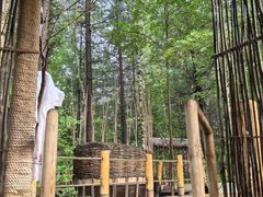 -长白山聚龙火山温泉
