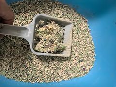 -康成宠物医院24H·CT·核磁共振