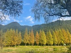 -贵阳市花溪国家城市湿地公园