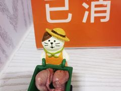 -纳吉亚猫专科动物医院·北北分院