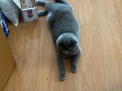 -派特宠物医院(圆融广场店)