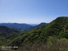 -大岭沟猕猴桃谷风景区