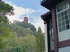 -南沙蒲洲花园