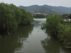 -长兴太湖图影湿地文化园