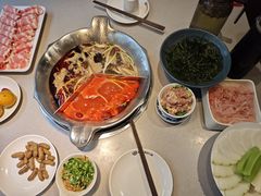 -渝大龙重庆火锅(温泉月亮湾店)