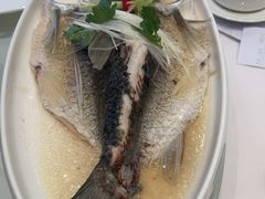 -千灯盛汇·头牌粤菜(致越优城店)