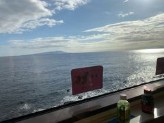 -伊豆观海列车