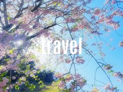 -神户市立六甲山牧场
