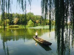 -月湖风景区