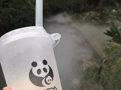 -都江堰中华大熊猫苑