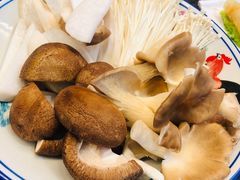 -财神鸡煲(华强北店)