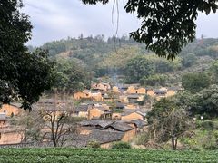 -杨家堂村