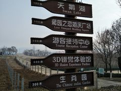 -北京张裕爱斐堡酒庄